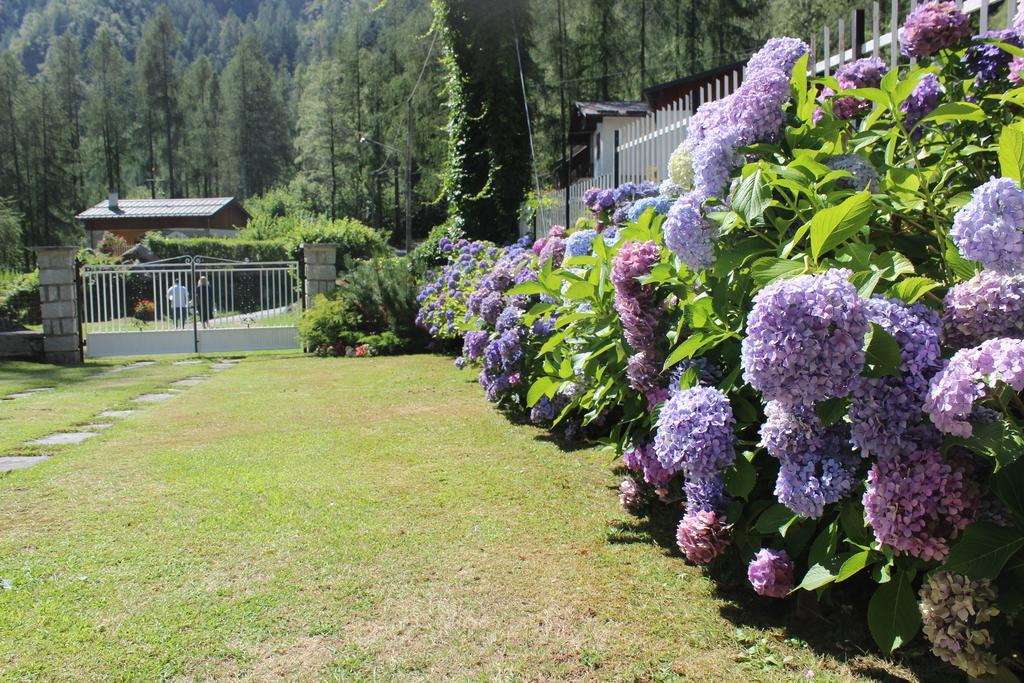Villa Egle Antronapiana Exterior foto
